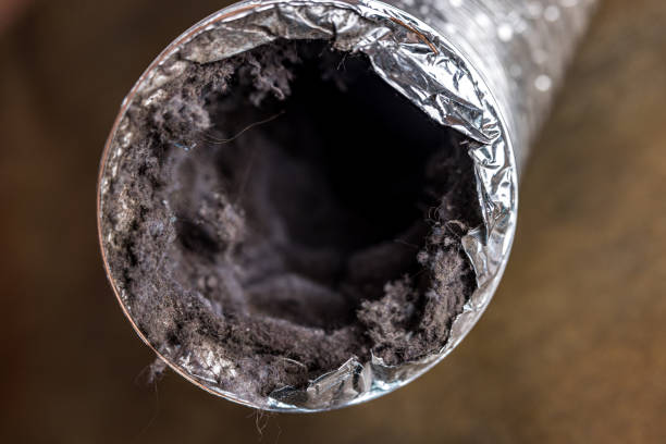 Best Affordable HVAC Duct Cleaning  in Riverview, DE